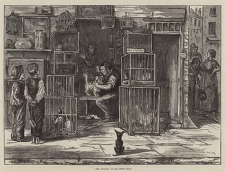 朝のトイレ、七つの文字盤